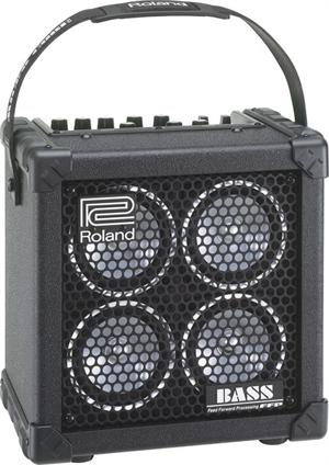 Roland Micro Bass Cube | Starrs Guitars