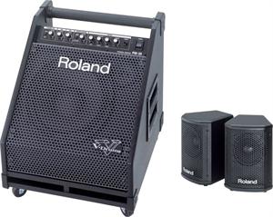 Roland PM-30 Drum Monitor | Starrs Guitars