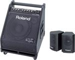 Roland PM-30 Drum Monitor | Starrs Guitars